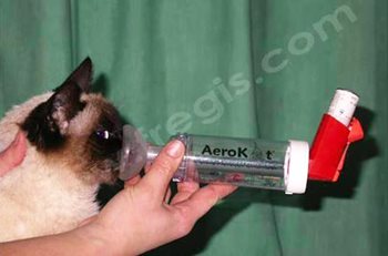 Inhalations par AeroKat