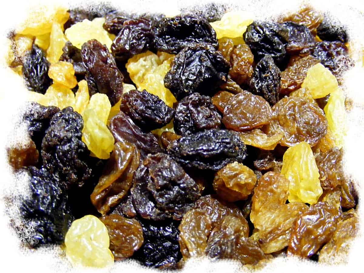 Intoxication au raisin chez le chien