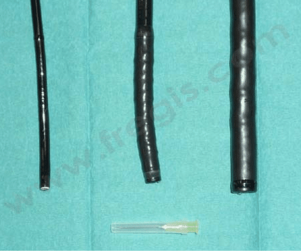 Endoscope