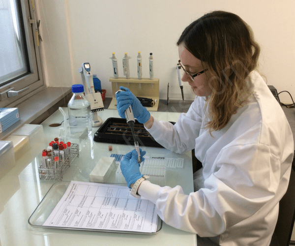 L' Hépatite de Rubarth du chien fait appel à des analyses biologiques.