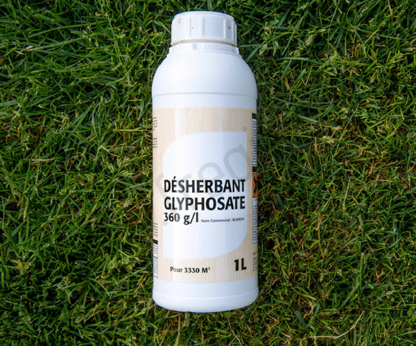 Le glyphosate est un herbicide responsable d’intoxications chez le chat.