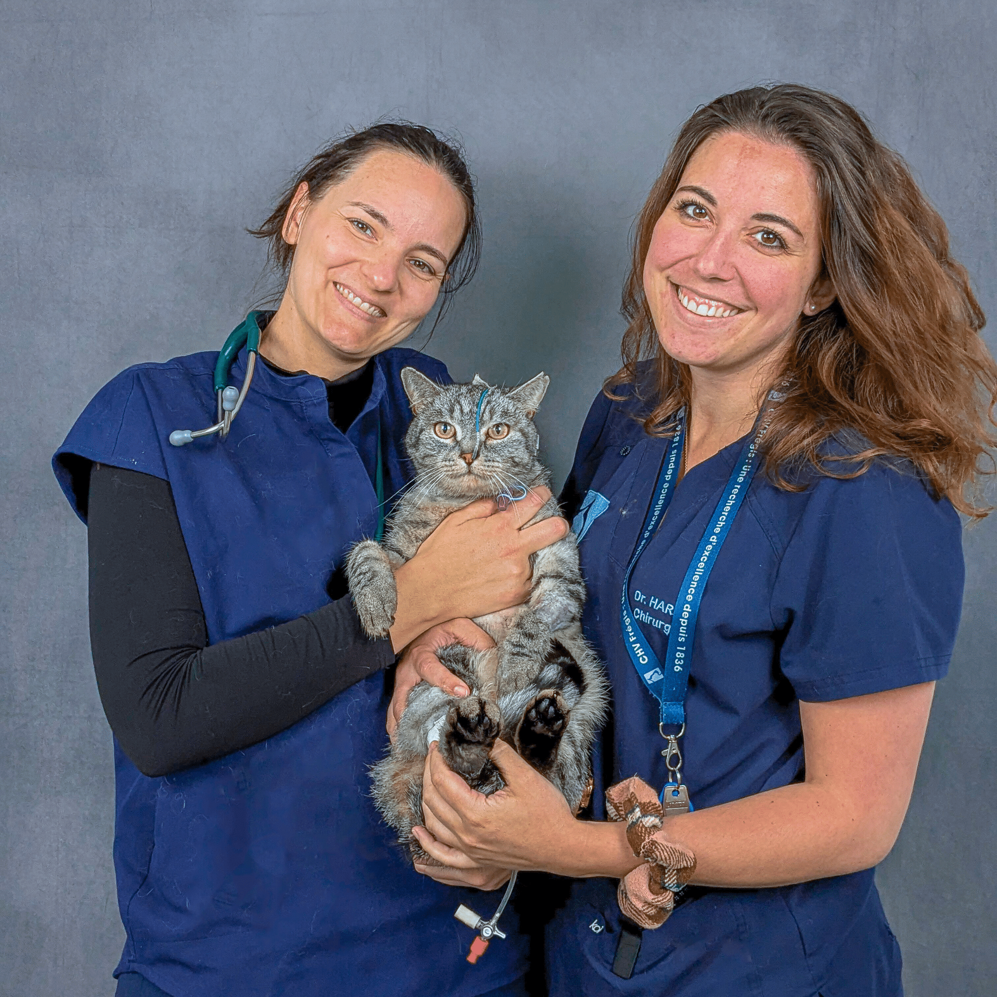 Deux vétérinaires du service de chirurgie et des soins intensifs posent ensemble avec un chat dans le cadre d'une positive story.
