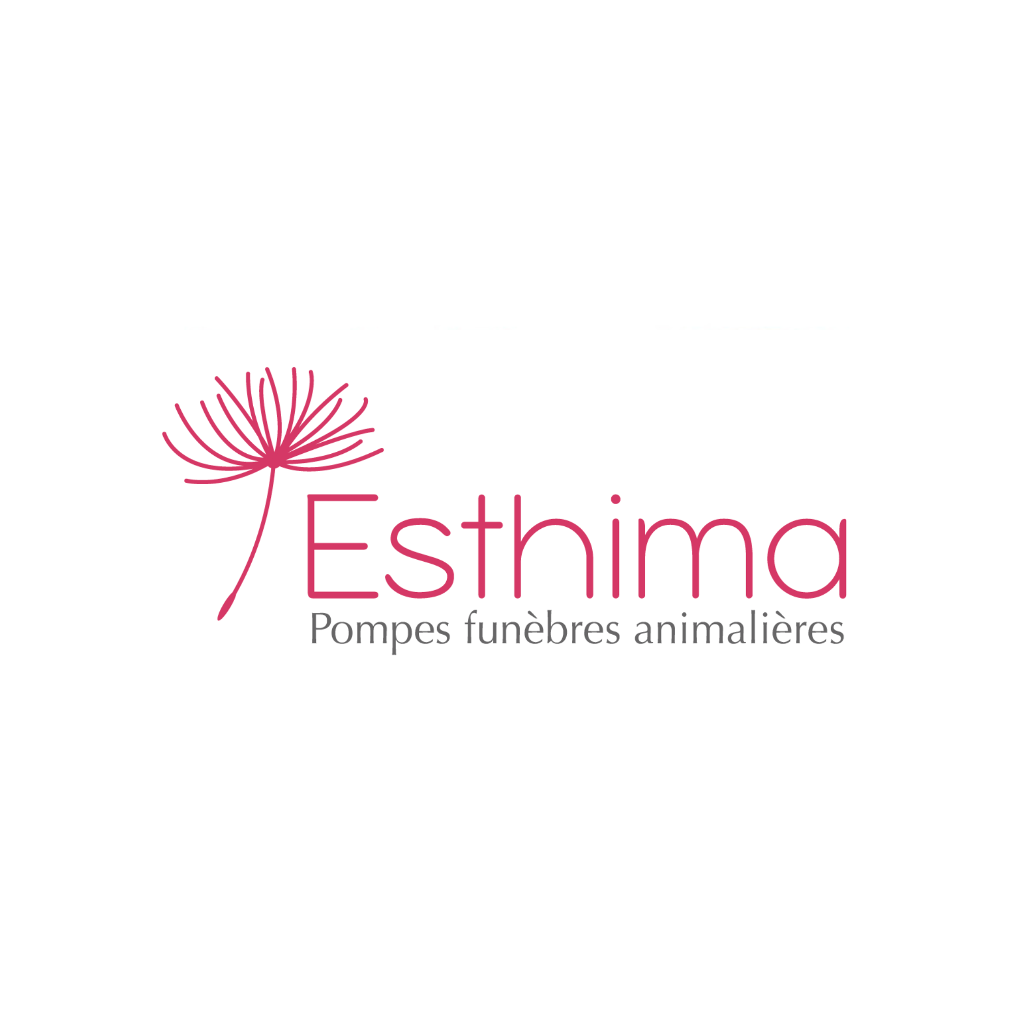 Logo de notre partenaire Esthima