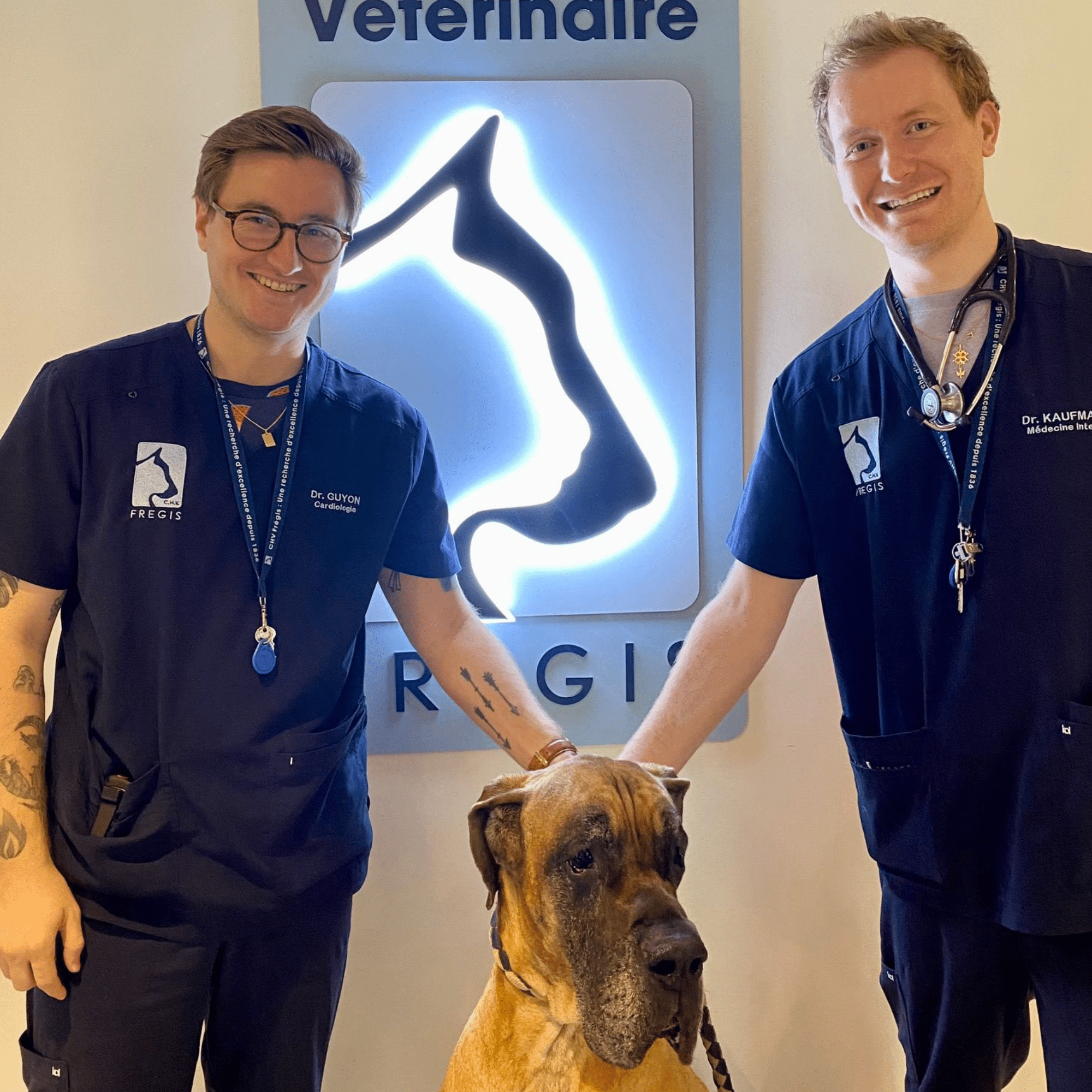 Un vétérinaire de médecine interne et un vétérinaire de cardiologie posent avec un chien devant le logo Frégis dans le cadre d'une positive story.
