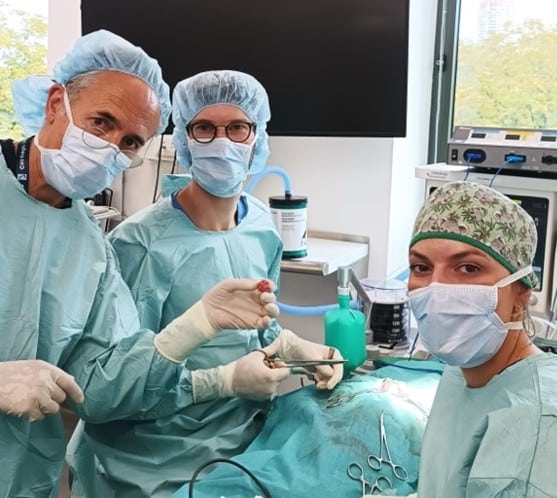 Equipe de neurologie