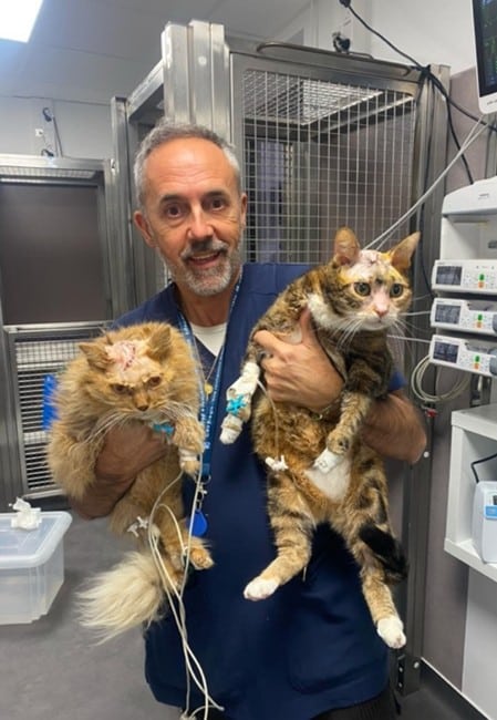 Coup double 6h post chirurgie en soins intensif le jour même