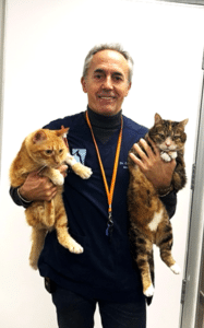 Controle d’IRM le jour même de deux chats opérés 6 mois plus tard