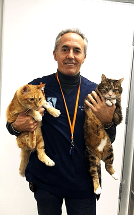 Controle d’IRM le jour même de deux chats opérés 6 mois plus tard