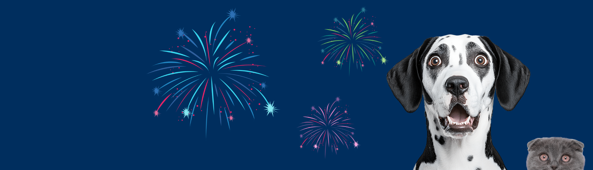 Attention aux feux d’artifice !
