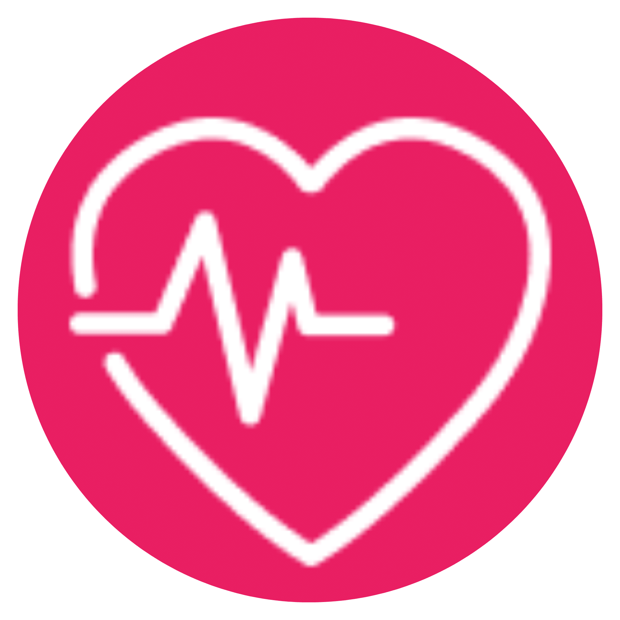 Picto Système cardiovasculaire