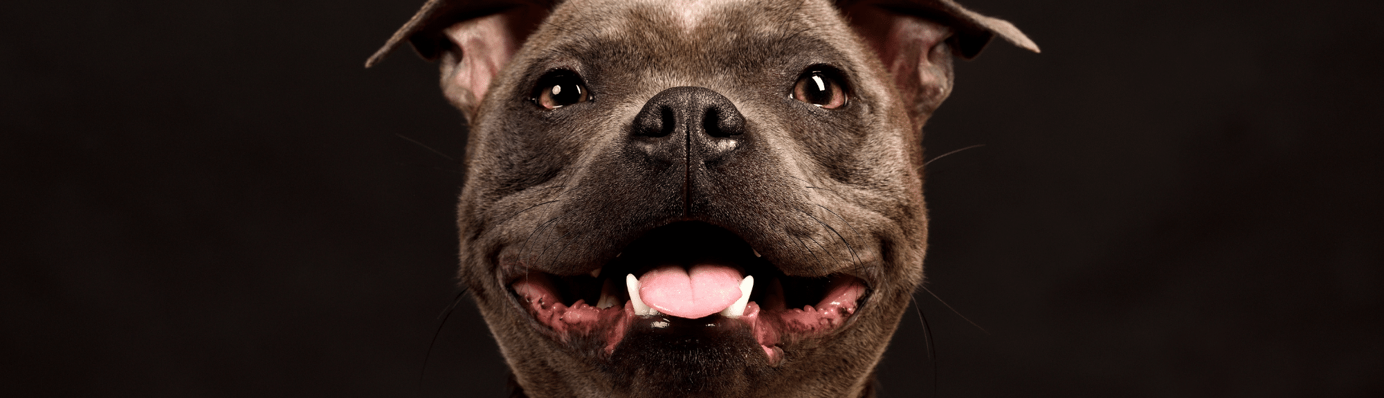 On a lu pour vous : Orthopédie