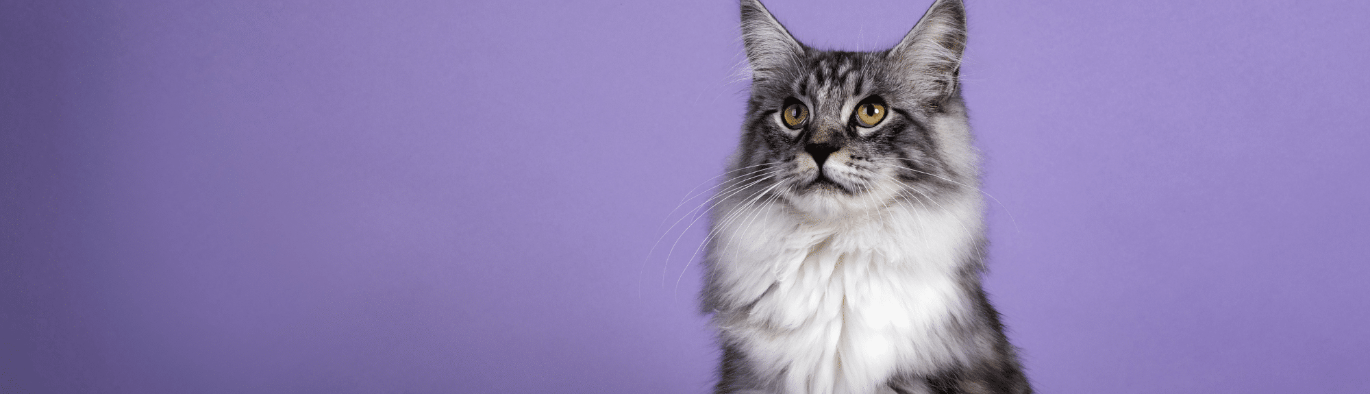 Cas clinique : Orthopédie