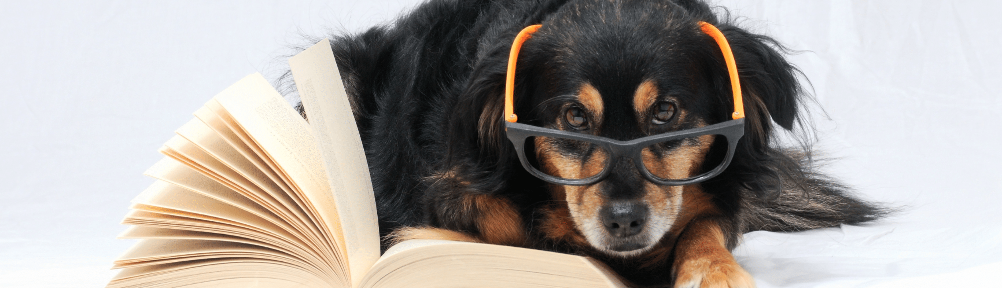 On a lu pour vous : Ophtalmologie