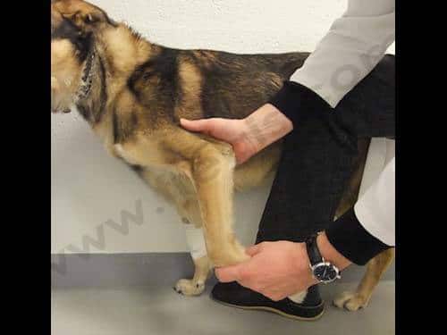 Exemple de manipulation spécifique qui peuvent aider à cibler l’origine du problème.