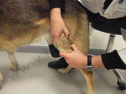 Exemple de manipulation spécifique qui peuvent aider à cibler l’origine du problème.