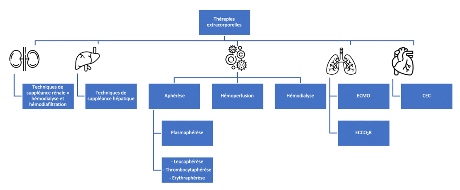 FIGURE 1 : Les différentes thérapies extracorporelles possibles.